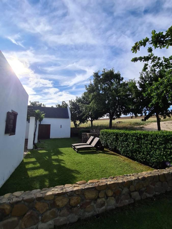 Vineyard Cottage At Bosman Wines Wellington Extérieur photo