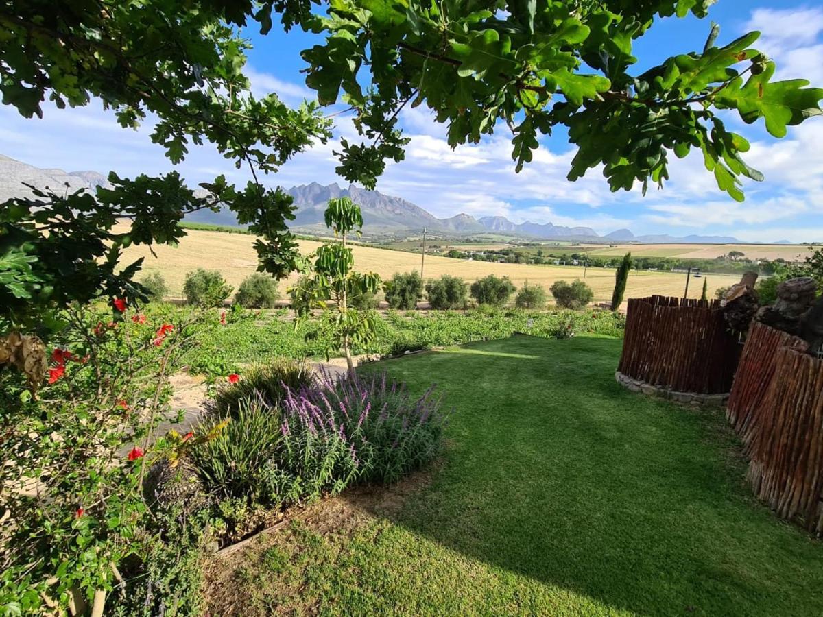 Vineyard Cottage At Bosman Wines Wellington Extérieur photo