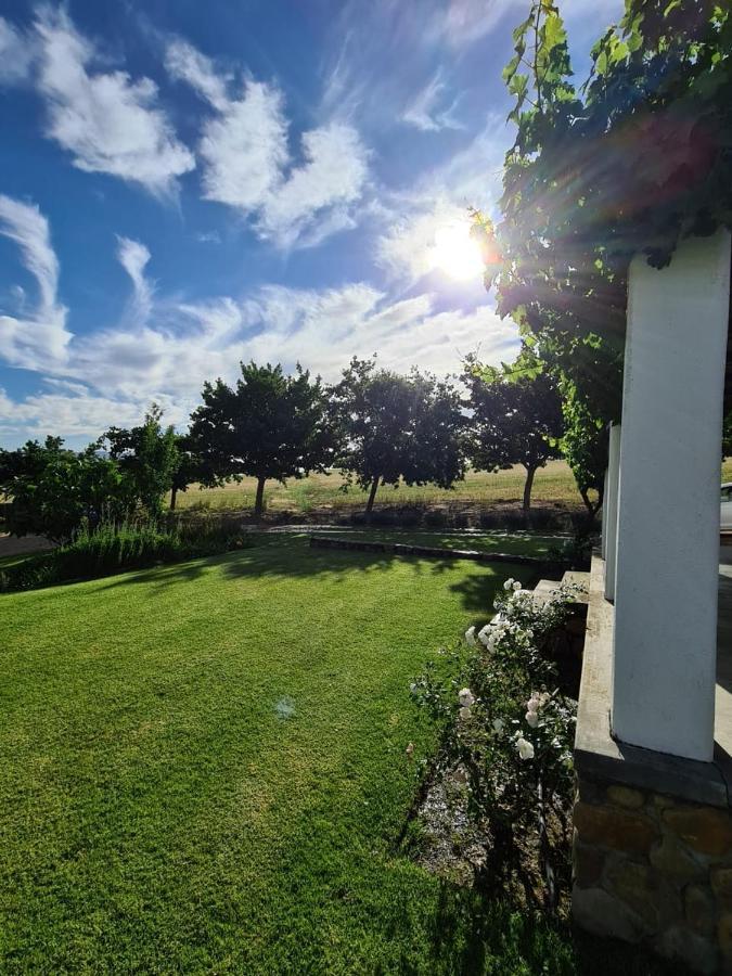 Vineyard Cottage At Bosman Wines Wellington Extérieur photo