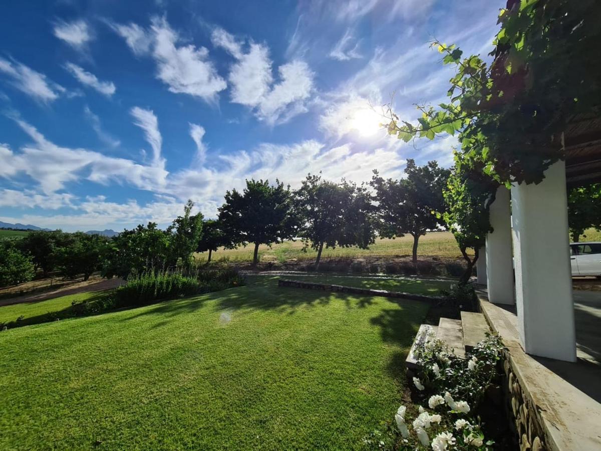 Vineyard Cottage At Bosman Wines Wellington Extérieur photo