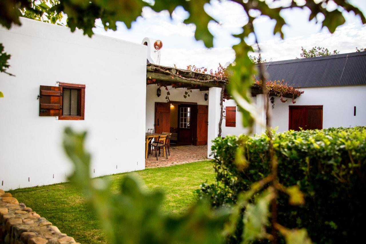 Vineyard Cottage At Bosman Wines Wellington Extérieur photo