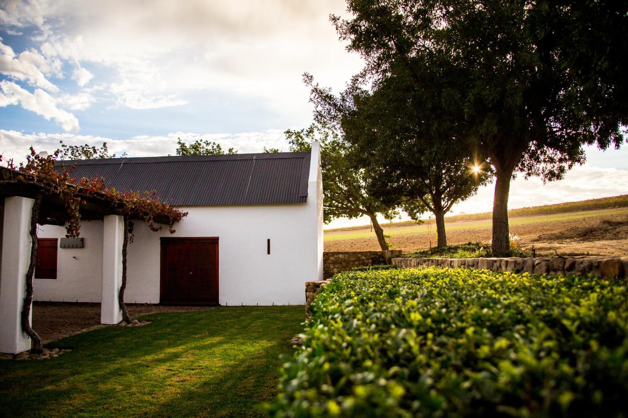 Vineyard Cottage At Bosman Wines Wellington Extérieur photo