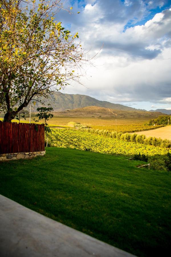 Vineyard Cottage At Bosman Wines Wellington Extérieur photo