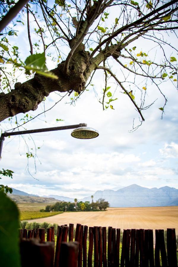 Vineyard Cottage At Bosman Wines Wellington Extérieur photo