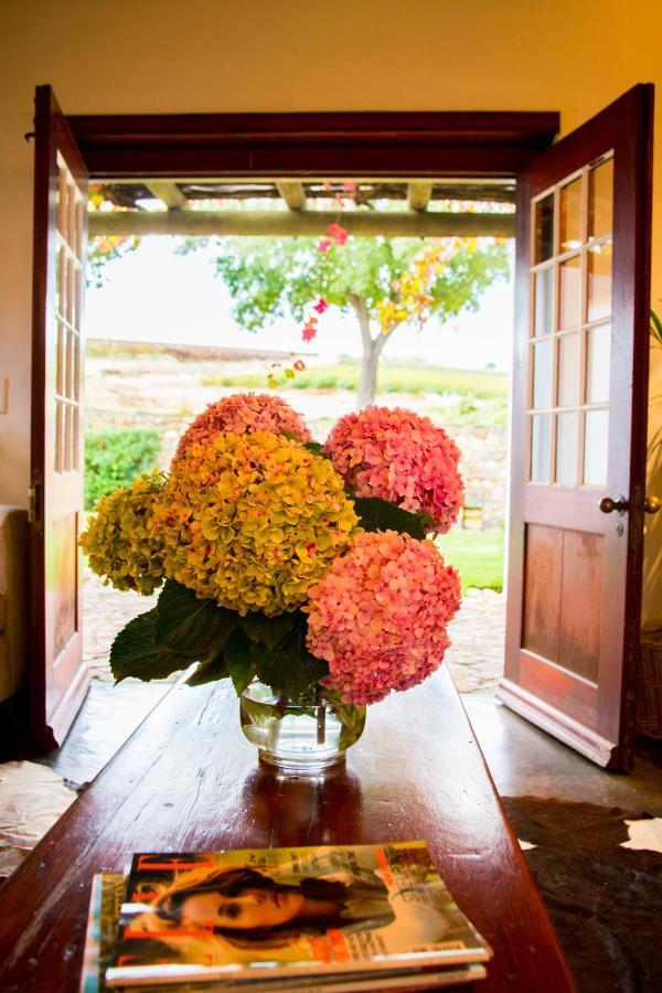 Vineyard Cottage At Bosman Wines Wellington Extérieur photo